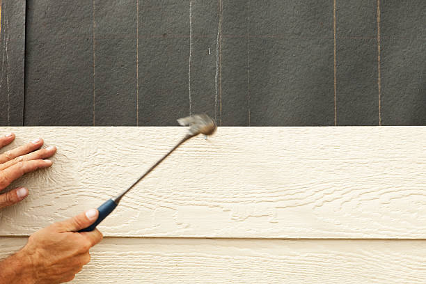 Best Siding Replacement  in Bladensburg, MD